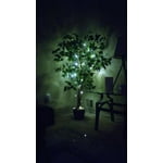 Image 5 of customer photos