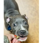 Image 1 of customer photos