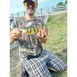 Image 4 of customer photos