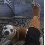 Image 3 of customer photos