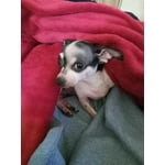 Image 6 of customer photos