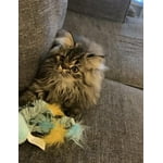 Image 6 of customer photos