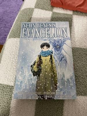 Neon Genesis Evangelion 3-in-1 Edition: Vol. 5 includes vols. 13