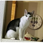 Image 6 of customer photos