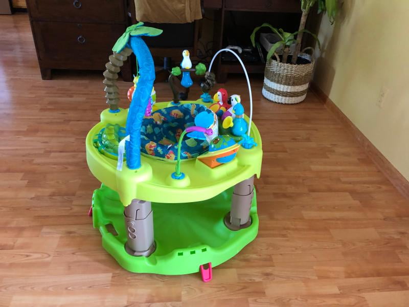 life in the amazon exersaucer