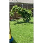 Image 7 of customer photos