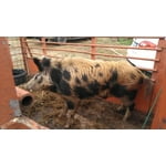 Image 1 of customer photos