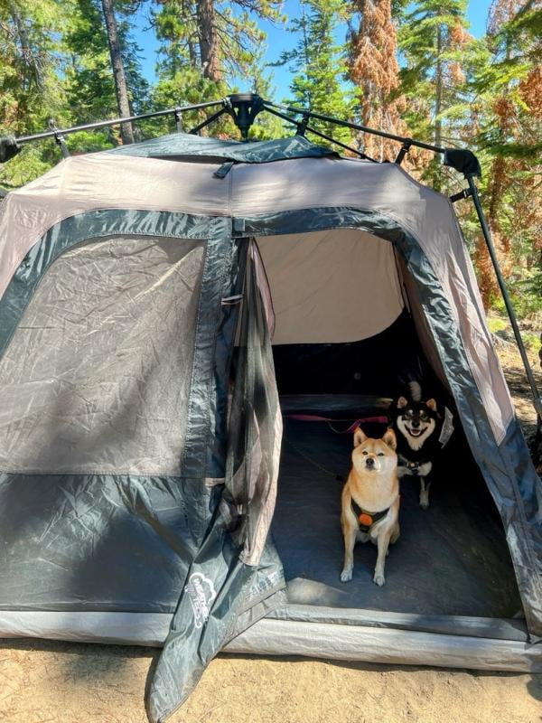 Coleman Instant Cabin Tent, Quick Setup, 4-Person Coleman Instant Cabin Tent, Quick Setup, 4-Person