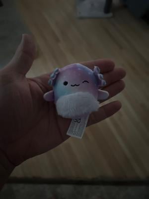 ぬいぐるみ asket acua Squishmallows Akina the Axolotl Mini Plush - Walmart.com