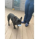 Image 5 of customer photos