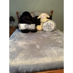 Image 6 of customer photos
