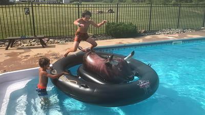 intex bull riding pool toy