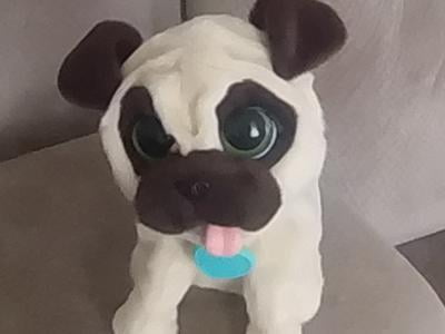 FurReal Friends JJ, My Jumpin' Pug Plush Pet - Walmart.ca