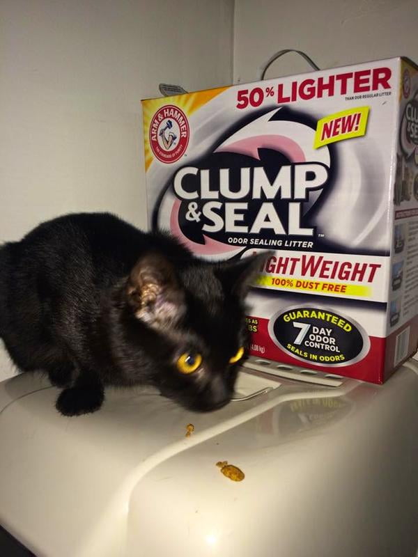 clump and seal lightweight cat litter