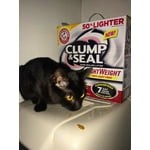 Image 6 of customer photos