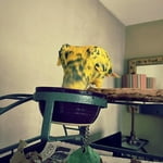 Image 2 of customer photos