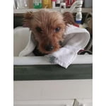 Image 3 of customer photos