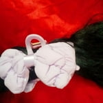 Image 7 of customer photos