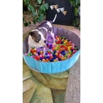 Image 2 of customer photos