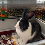 Image 6 of customer photos