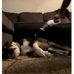 Image 1 of customer photos