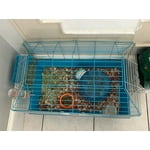 Image 2 of customer photos