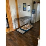 Image 2 of customer photos