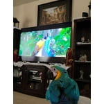 Image 6 of customer photos