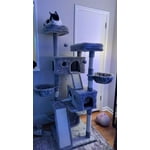 Image 6 of customer photos