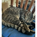 Image 6 of customer photos