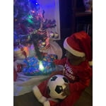 Image 1 of customer photos