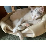 Image 5 of customer photos