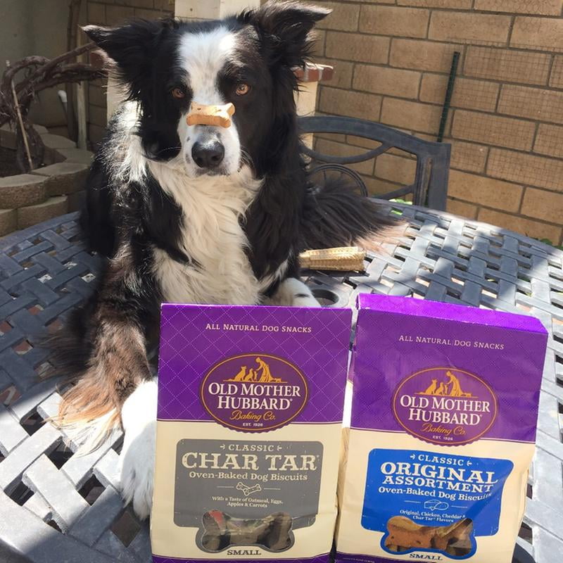 char tar dog treats