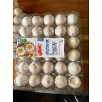 Imagen 3 de las fotos del cliente