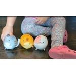 Image 6 of customer photos