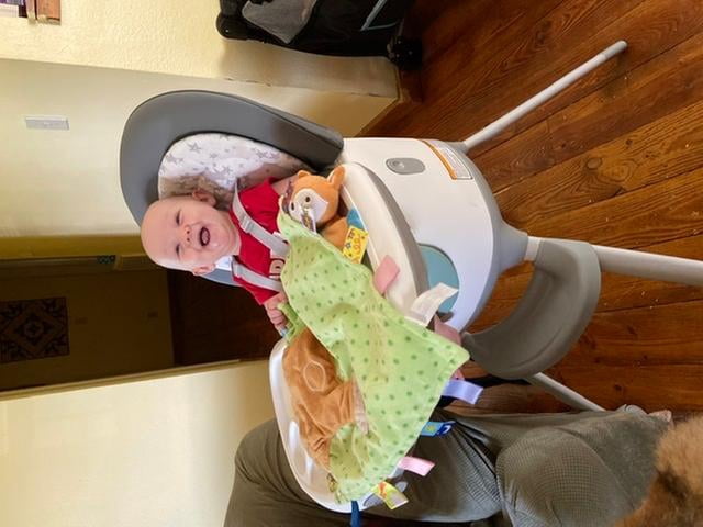 graco floor2table high chair