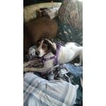 Image 2 of customer photos