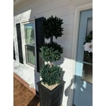 Image 6 of customer photos