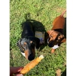 Image 5 of customer photos