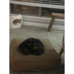 Image 2 of customer photos