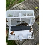 Image 3 of customer photos