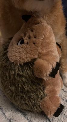 Outward Hound Hedgehogz Stuffed Dog Toy – Grunts & Squeaks, Plush Hedgehog For Small To XXL Dogs