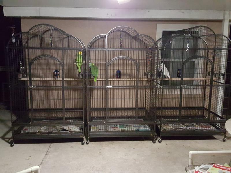 macaw cages for sale cheap