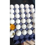 Imagen 3 de las fotos del cliente