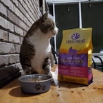 Image 5 of customer photos