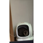 Image 2 of customer photos