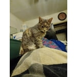 Image 7 of customer photos