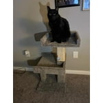 Image 3 of customer photos