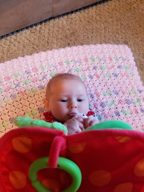 fisher price sensory activity apple