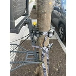 Image 5 of customer photos